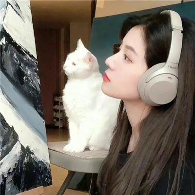 狐狸猎手